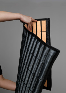 Isabella Braunreuther