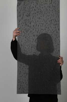 Isabella Braunreuther